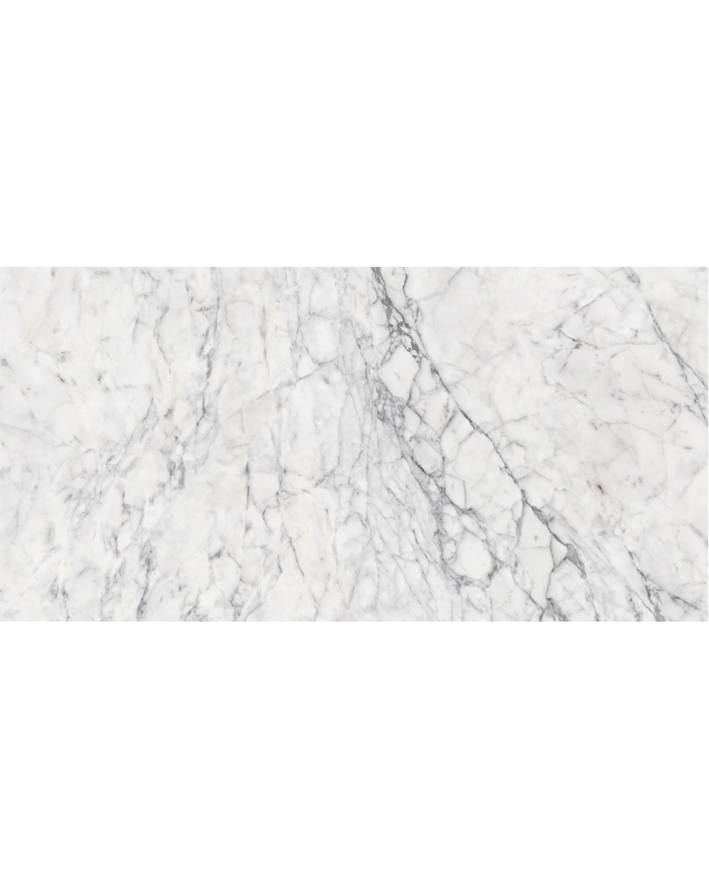 Carrara marble design tile polished 60x120 cm | Vita | In stock