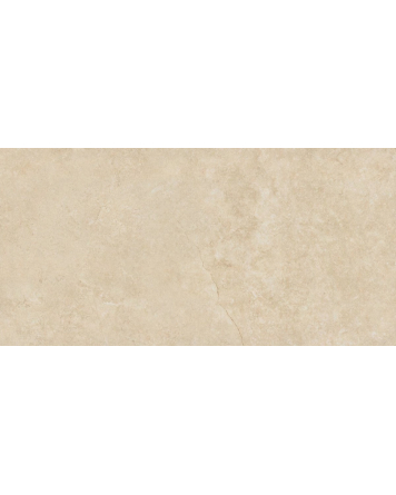 Stone Beige 60x120cm 62PS2